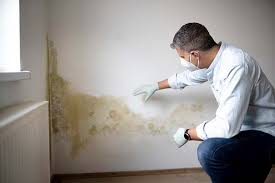 Best Air Quality Testing for Mold Spores  in Pennsboro, WV